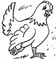Chicken.png
