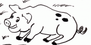 Pig.png
